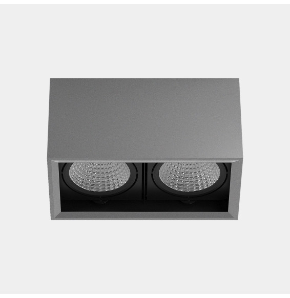 LedsC4 - Downlight MULTIDIR SURFACE BIG DOUBLE 46.2W blanco cálido 3000K CRI 90 22.7º ON-OFF gris IN IP20 / OUT IP54 5470lm
