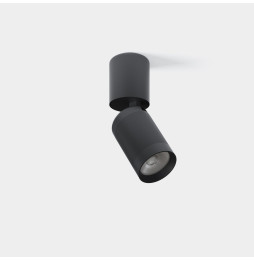 LedsC4 - Plafón Iris Surface 11.7W blanco cálido 2700K aro CRI 90 DALI-2 negro IP23 697lm