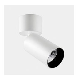LedsC4 - Proyector ATOM SURFACE 28 2700K CRI 90 23º DALI-2 2404lm blanco