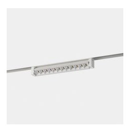 LedsC4 - Proyector Bento 12 LEDS ajustable bajo voltaje 12.6 blanco cálido 3000K CRI 90 DALI-2 blanco 1374lm
