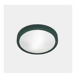 LedsC4 - Plafón IP66 BASIC E27 15W verde abeto