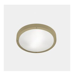 LedsC4 - Plafón IP66 BASIC E27 15W oro