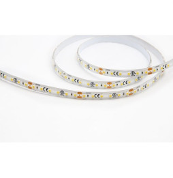 Tira Led NLS-PRO NEWTON 5 4,8W 3000K 24V 475lm PF -0,90 CRI -90Ra 60 Leds-m 8mm IP65 5m