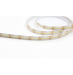 Tira Led NLS-PRO NEWTON 5 19,2W 2700K 24V 1700lm PF -0,90 CRI -90Ra 240 Leds-m 10mm IP65 5m