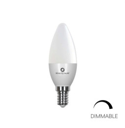 BENEITO FAURE - Lámpara LED FLAMA dimable 5,5W E14 3000K