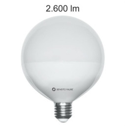BENEITO FAURE - Lámpara LED globo SAMSUNG 22W E27 3000K