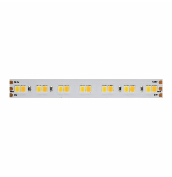 Tira LED FINE-42 2835 24V DC 19,2W-m 1800-4000K IP20 1920lm-m 168Led-m CRI-90 10mm IP20 (rollo 5m)
