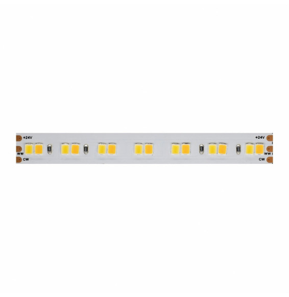 Tira LED FINE-42 2835 24V DC 19,2W-m 1800-4000K IP20 1920lm-m 168Led-m CRI-90 10mm IP65 (rollo 5m)