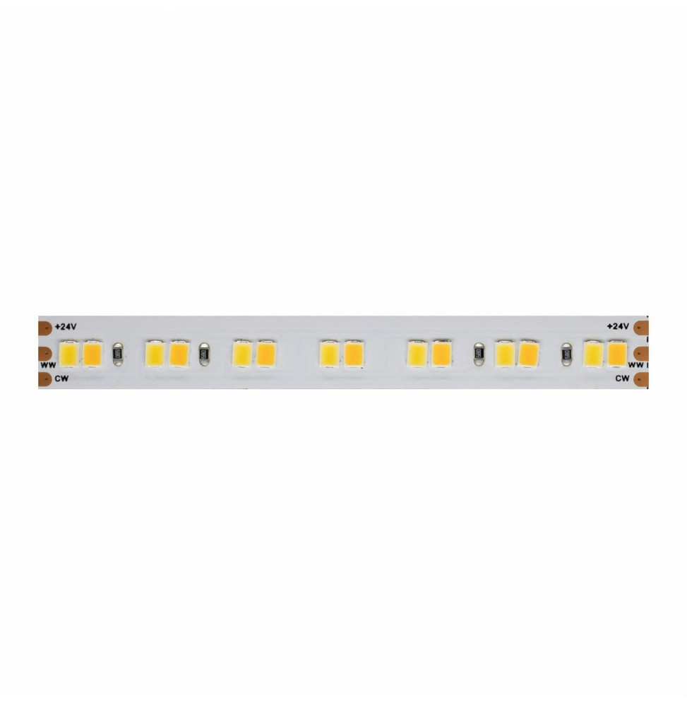 BENEITO FAURE - Tira LED 1m FINE-42 SMD2835 168Led/m 24V DC 19,2W/m CCT IP20 10mm