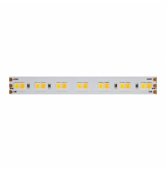 BENEITO FAURE - Tira LED 1m FINE-42 SMD2835 168Led/m 24V DC 19,2W/m CCT IP20 10mm
