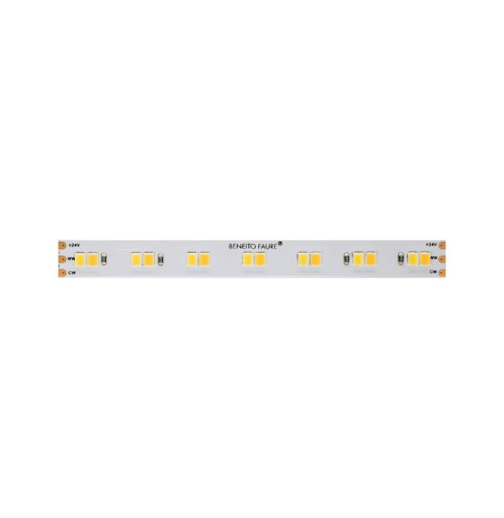 BENEITO FAURE - Rollo tira LED 5m FINE 36 24 VDC 12W/m CCT IP20