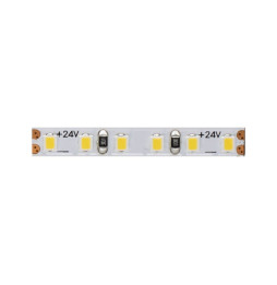 BENEITO FAURE - Rollo tira LED 5m FINE 49 204LED/m 24 VDC 10W/m 6000K IP20