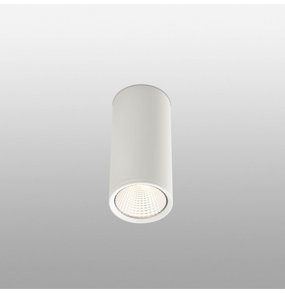FARO - Plafón REL LED 15W 60° 2700K blanco