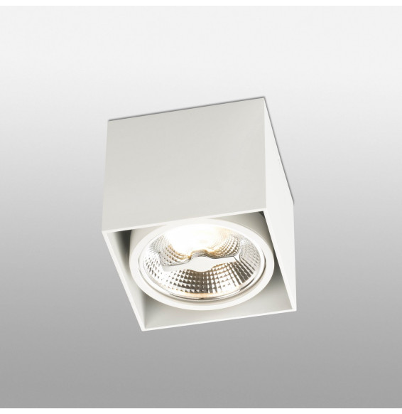 FARO - Plafón TECTO AR111 100W blanco