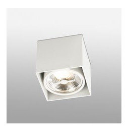 FARO - Plafón TECTO AR111 100W blanco
