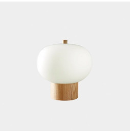 LedsC4 - Luminaria portátil ILARGI 14xled 14.8W blanco madera clara con cristal