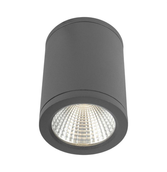 Plafón redondo LED antracita DENMARK 6W 3000K 100-240V CRI80 IP54 IK08