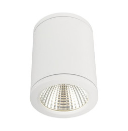 Plafón redondo LED blanco DENMARK 6W 3000K 100-240V CRI80 IP54 IK08