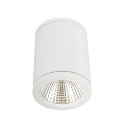 Plafón redondo LED blanco DENMARK 6W 3000K 100-240V CRI80 IP54 IK08
