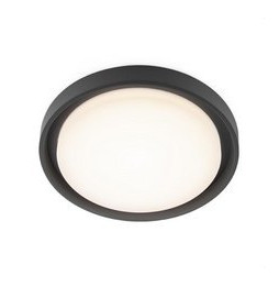 Luminaria LITHUANIA PLAFO 30W IP54 antracita 100-240V 3000K