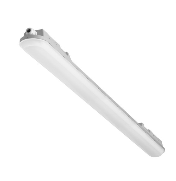 FORLIGHT - Luminaria estanca Pop 1500mm IP65 50W AC