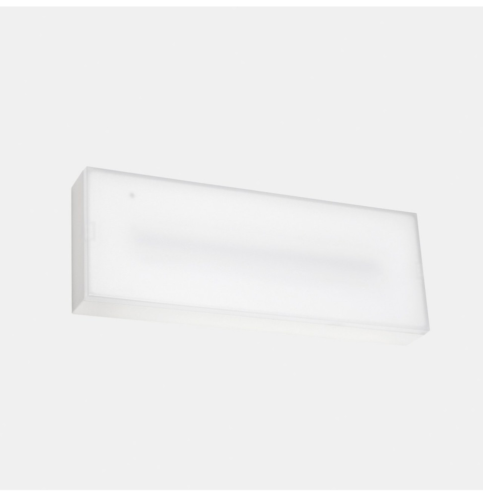 LedsC4 - Luminaria de emergencia DECO superficie IP44 DALI 300lm 3h Permanente + Autotest