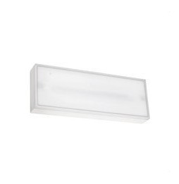 LedsC4 - Luminaria de emergencia DECO superficie IP65 100lm 1h No Permanente
