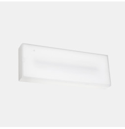 LedsC4 - Luminaria de emergencia DECO superficie IP65 DALI 300lm 1h No Permanente + Autotest