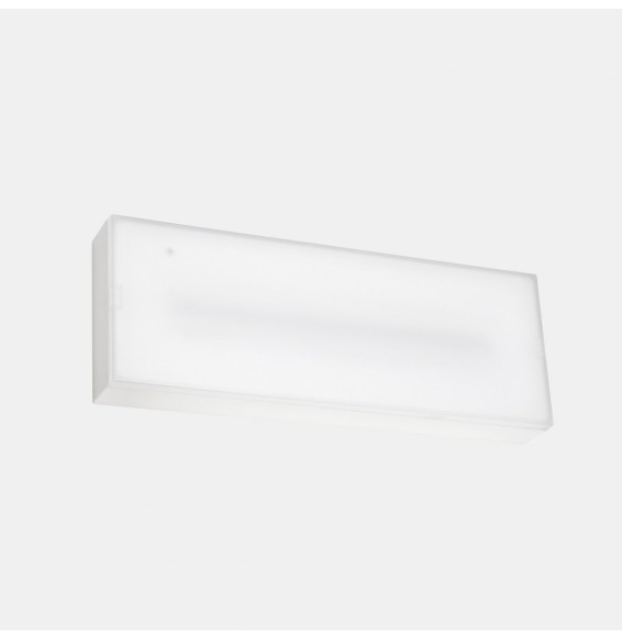 LedsC4 - Luminaria de emergencia DECO superficie IP65 DALI 300lm 1h No Permanente + Autotest
