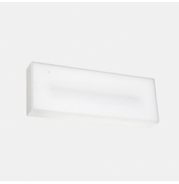 LedsC4 - Luminaria de emergencia DECO superficie IP65 DALI 300lm 1h No Permanente + Autotest