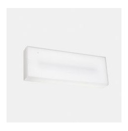 LedsC4 - Luminaria de emergencia DECO superficie IP65 DALI 300lm 1h No Permanente + Autotest