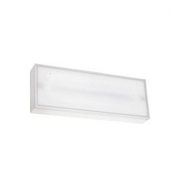 LedsC4 - Luminaria de emergencia DECO superficie IP65 100lm 3h No Permanente