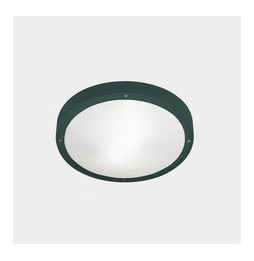 LedsC4 - Plafón IP66 BASIC LED 11.7W 2700K verde abeto 1269lm