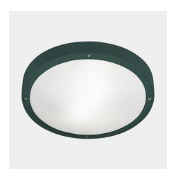 LedsC4 - Plafón IP66 BASIC E27 E27 15, 15W verde abeto